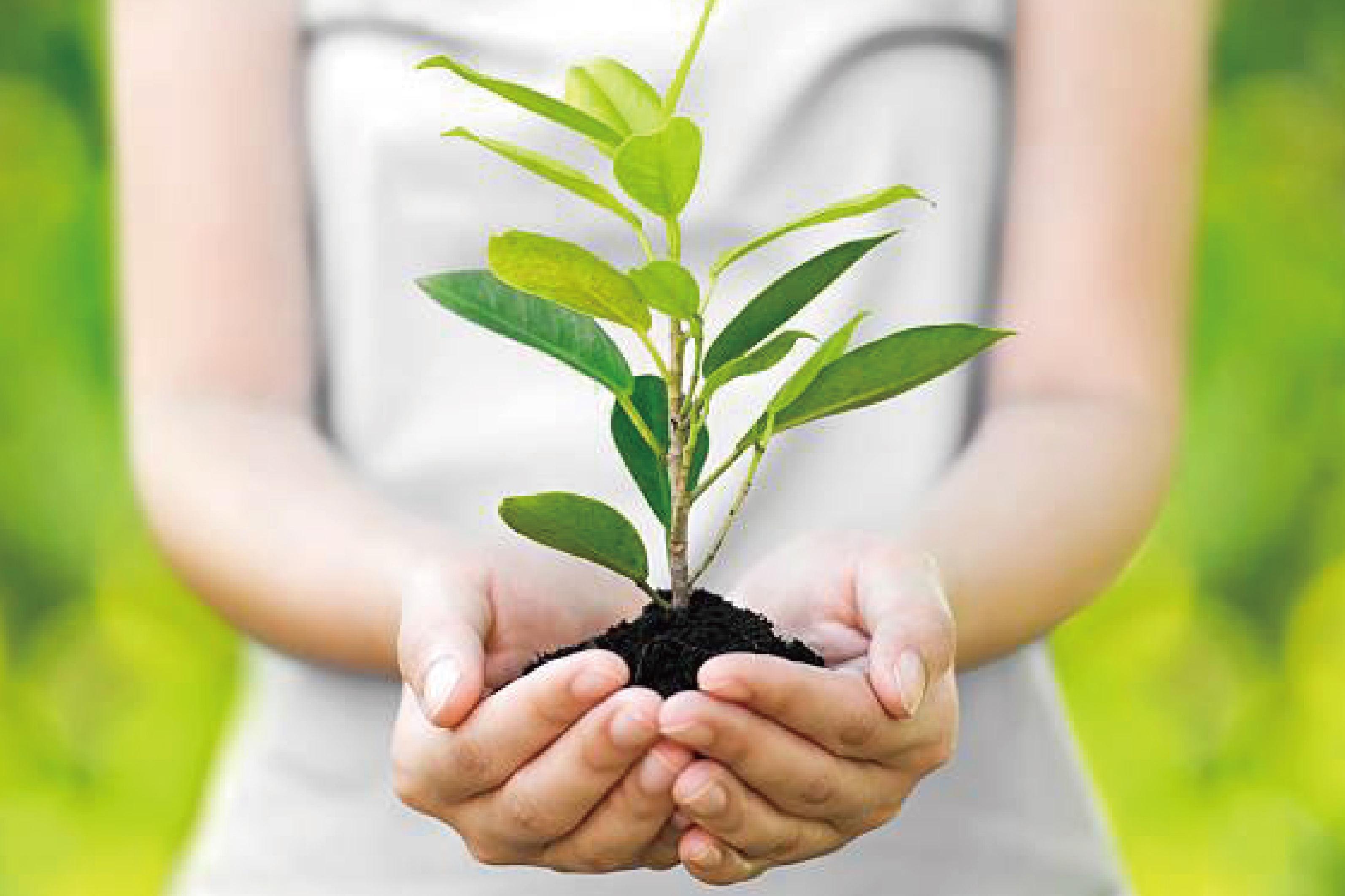 Life Cycle Assessment - LCA